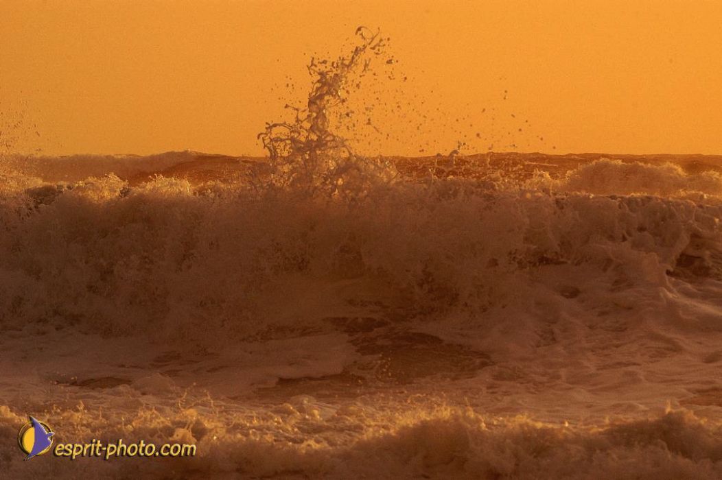 Nom de l'image : EP08-0378_(c)Norbert-JUNG — Description :